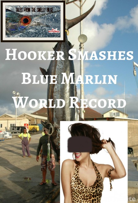 world-record-blue-marlin