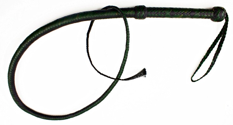 The whip used by Ms. Sapphire. It was left on the boat and was submitted to the International Record Fish Assn. along with the record application.