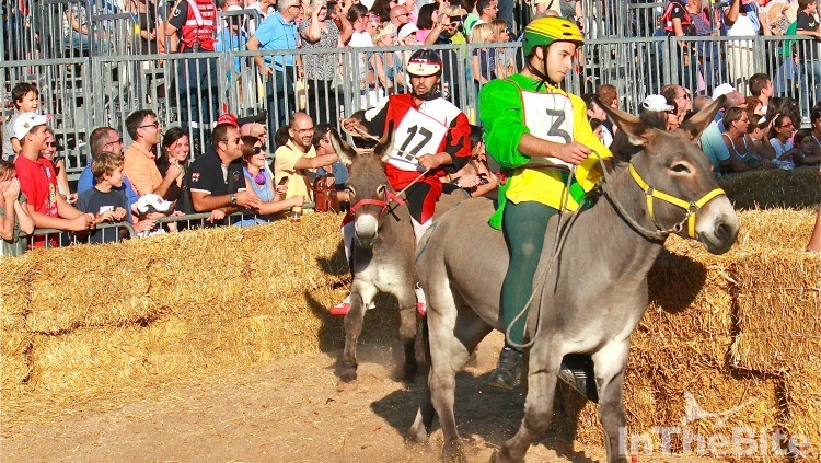 donkey-racing