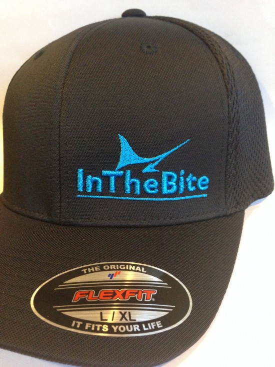 ITB-Flex_left_logo_blue