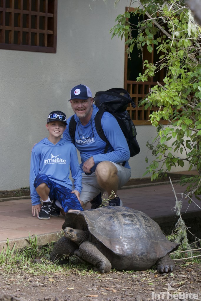 picture next to Galapagos Tortoise