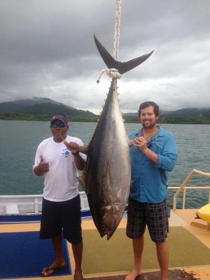 Big yellowfin tuna from Coiba Islands, Panama