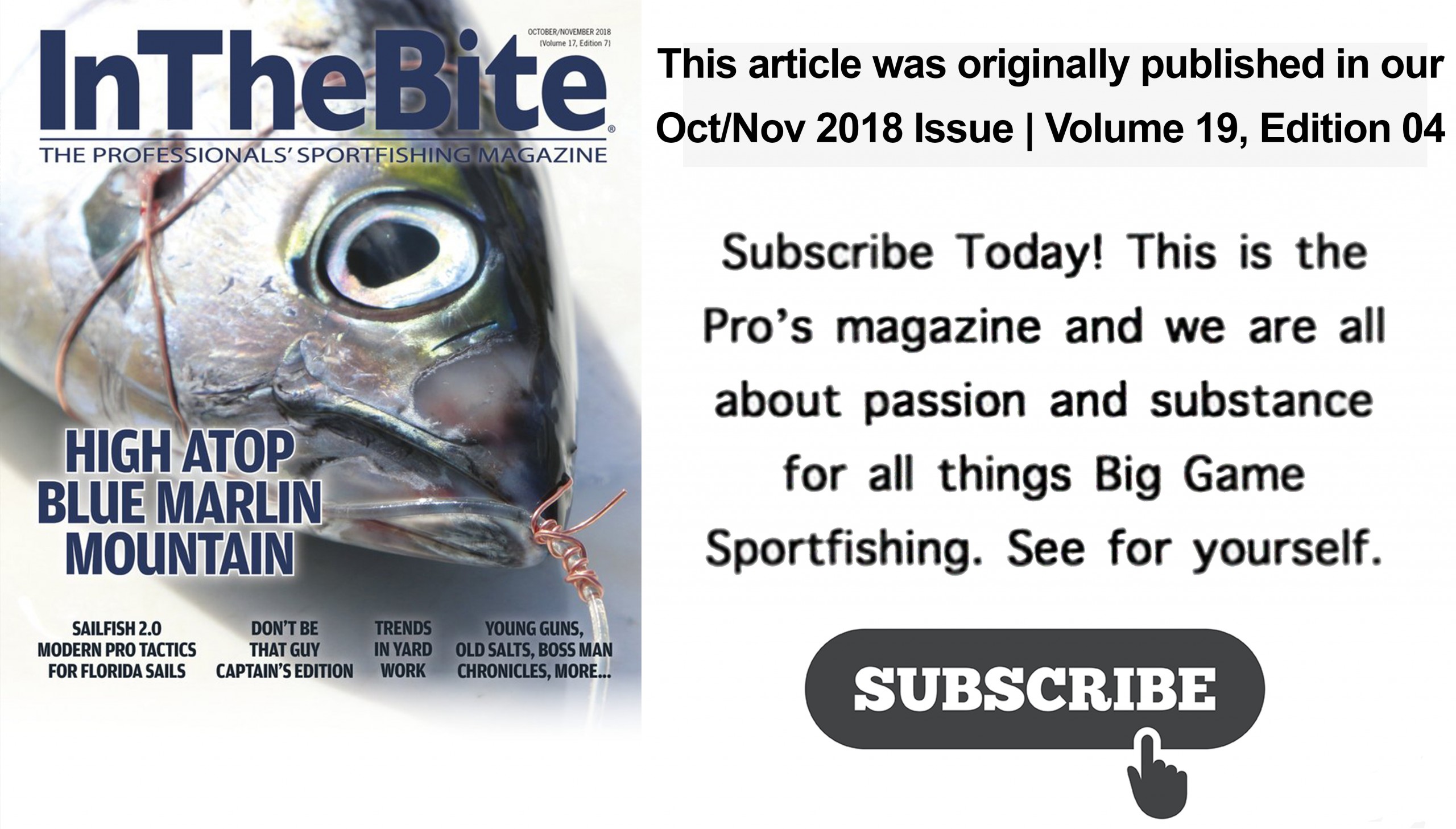 Untitled 1 4 1 1 scaled