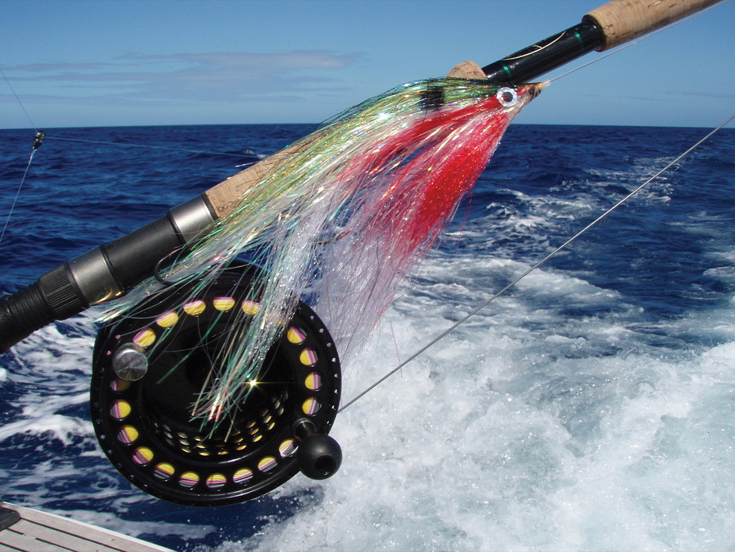 A Thorough Introduction to Billfish on the Fly - InTheBite